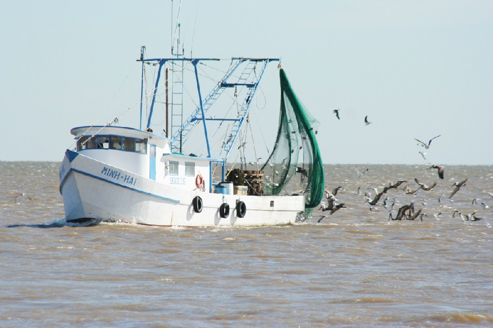 SHRIMP BOAT