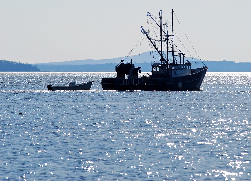 trawler